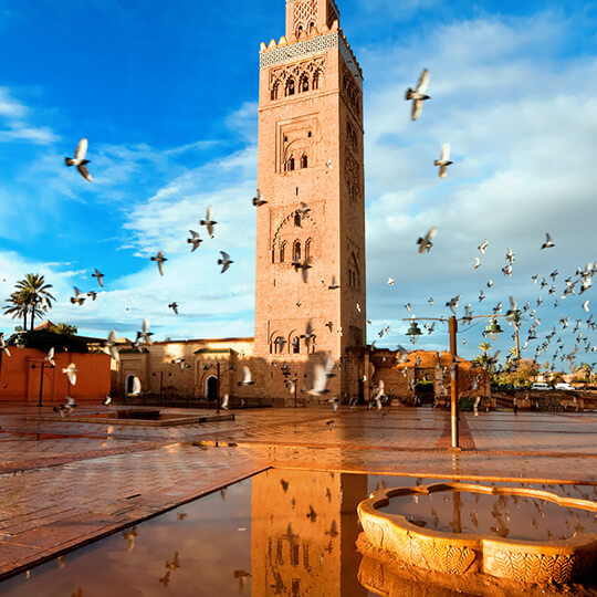 marrakech desert tours 4 days